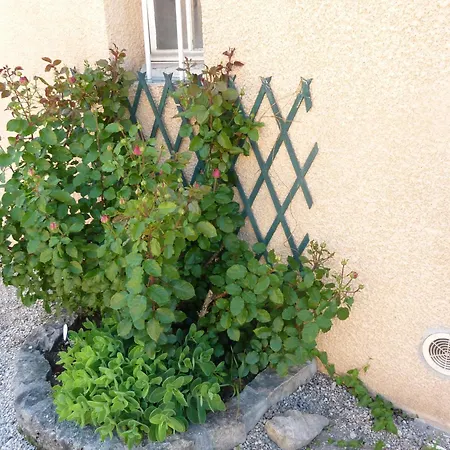 Lac'hotel France מלון